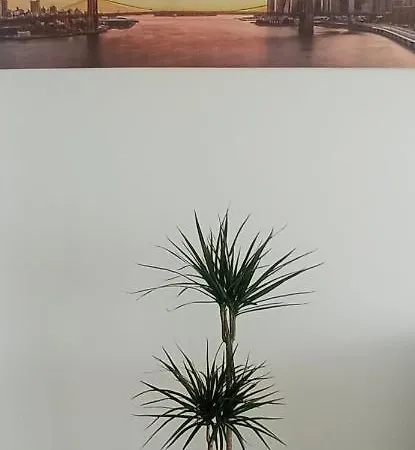 Appartement Duplex Atico Xana Con Terraza 80 M2 Privada Y Vistas A La Ria